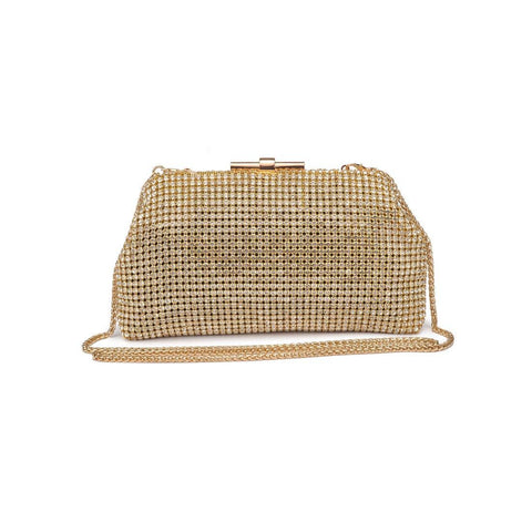 Delfina Evening Bag