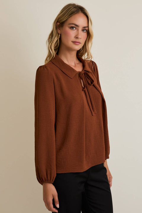 Brown Collar Tie Pleated Blouse